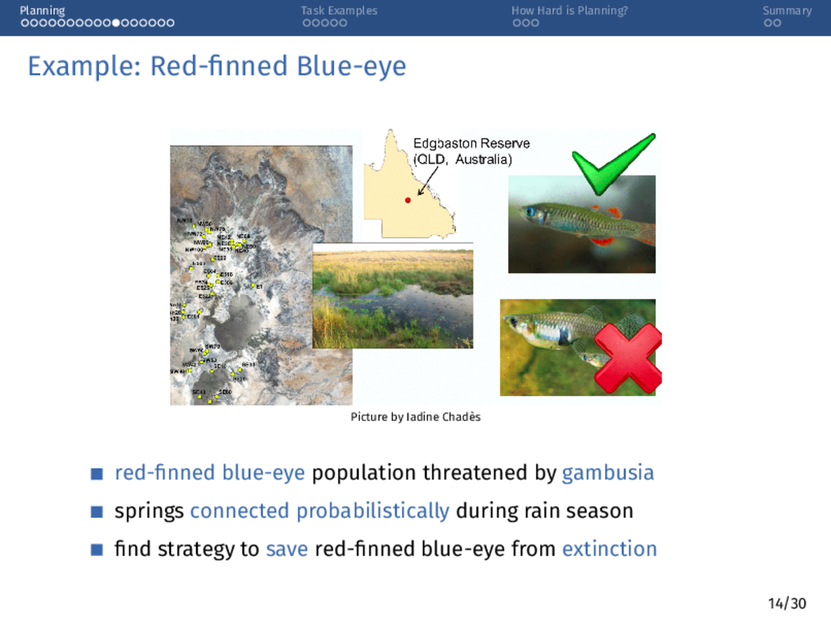 A slide example about planning a conservation strategy for the red-finned blue-eye.